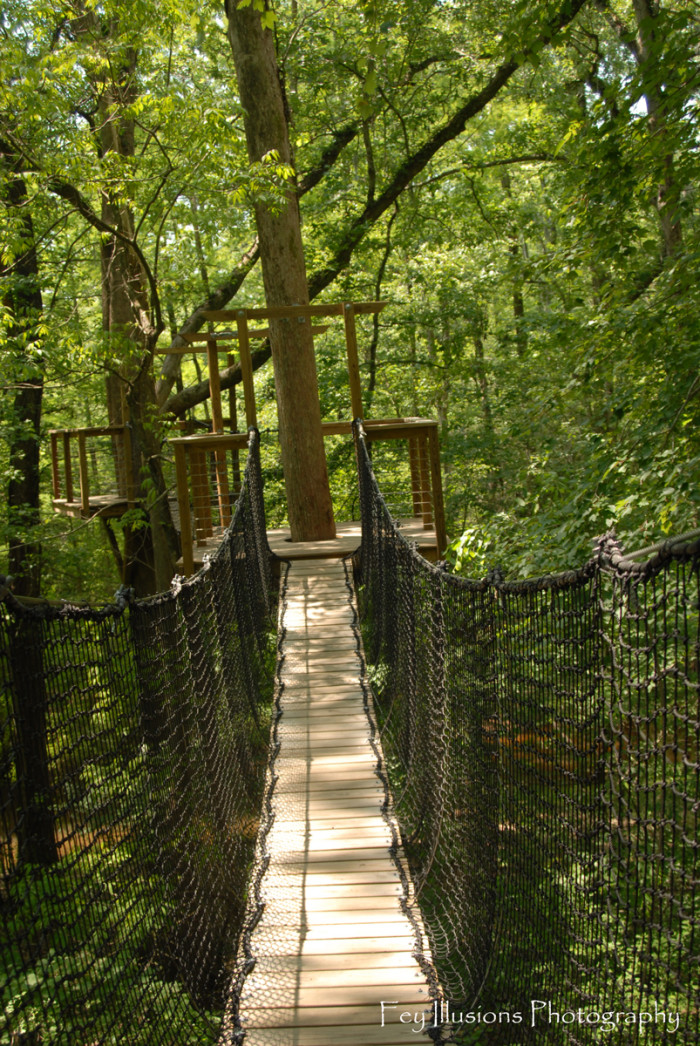 15 Best State Parks In South Carolina To Explore Any Time