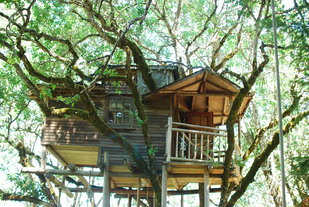 Oregon Treehouse Resort Gives An Unforgettable Experience
