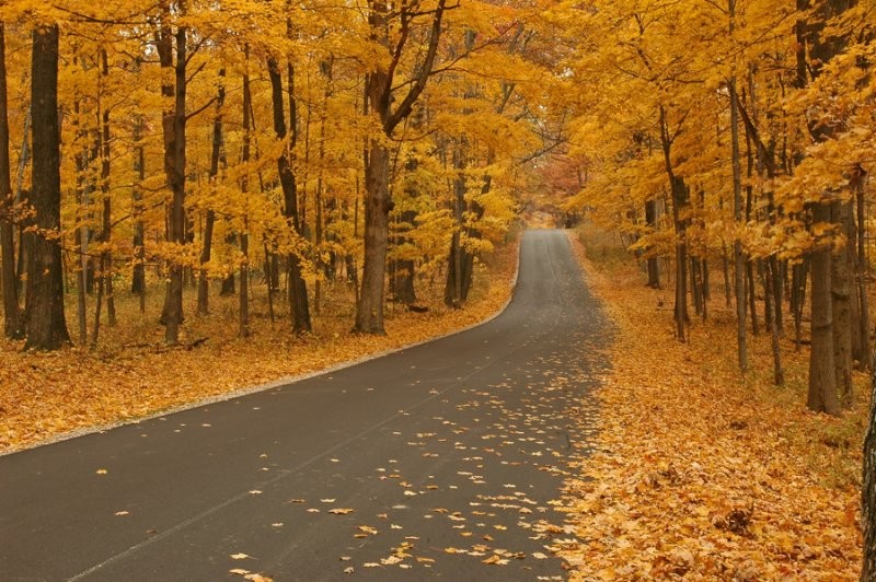 goldenroad_browncountystatepark_2.jpg