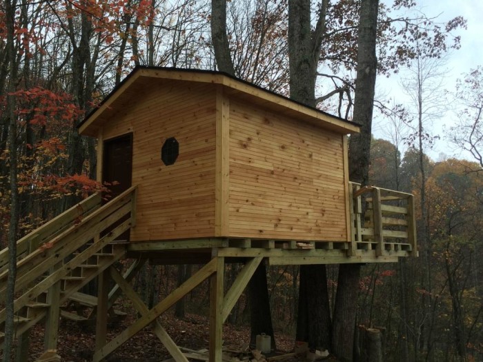 3 Treehouses You Can Rent In West Virginia