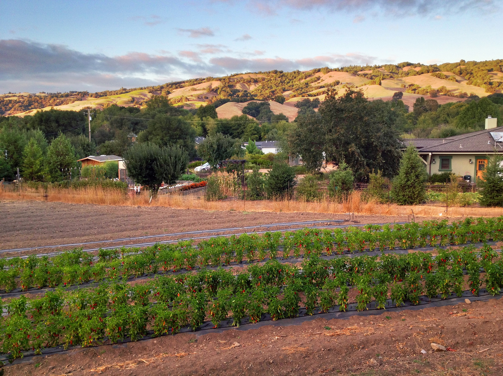 The Tiny Village Of Boonville With Its Own Language