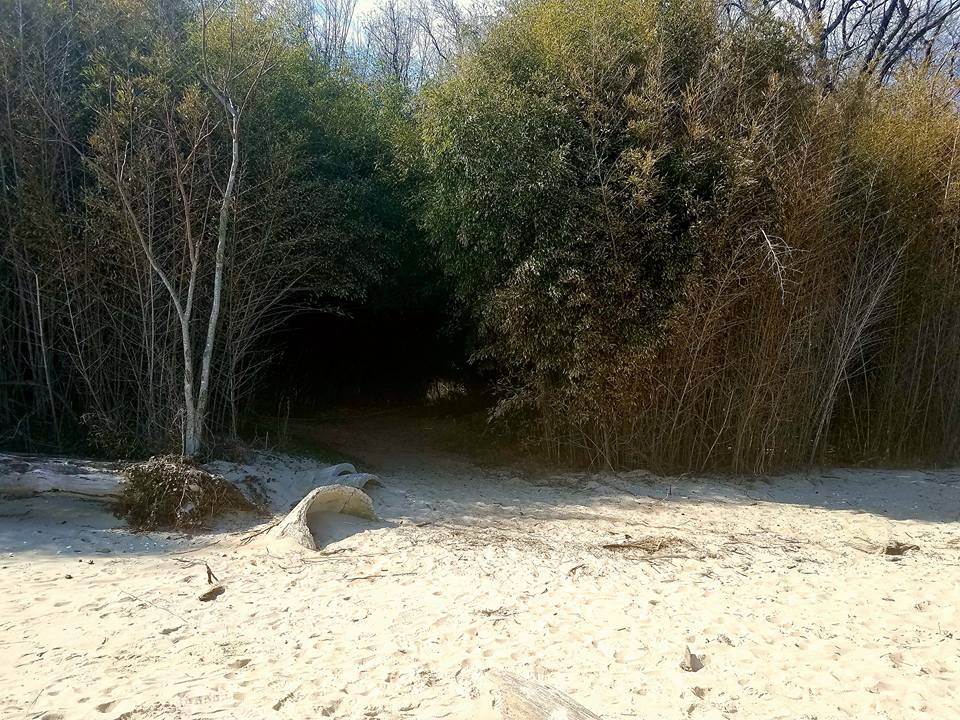Matoaka Beach Is The Hidden Beach In Maryland That S Off The