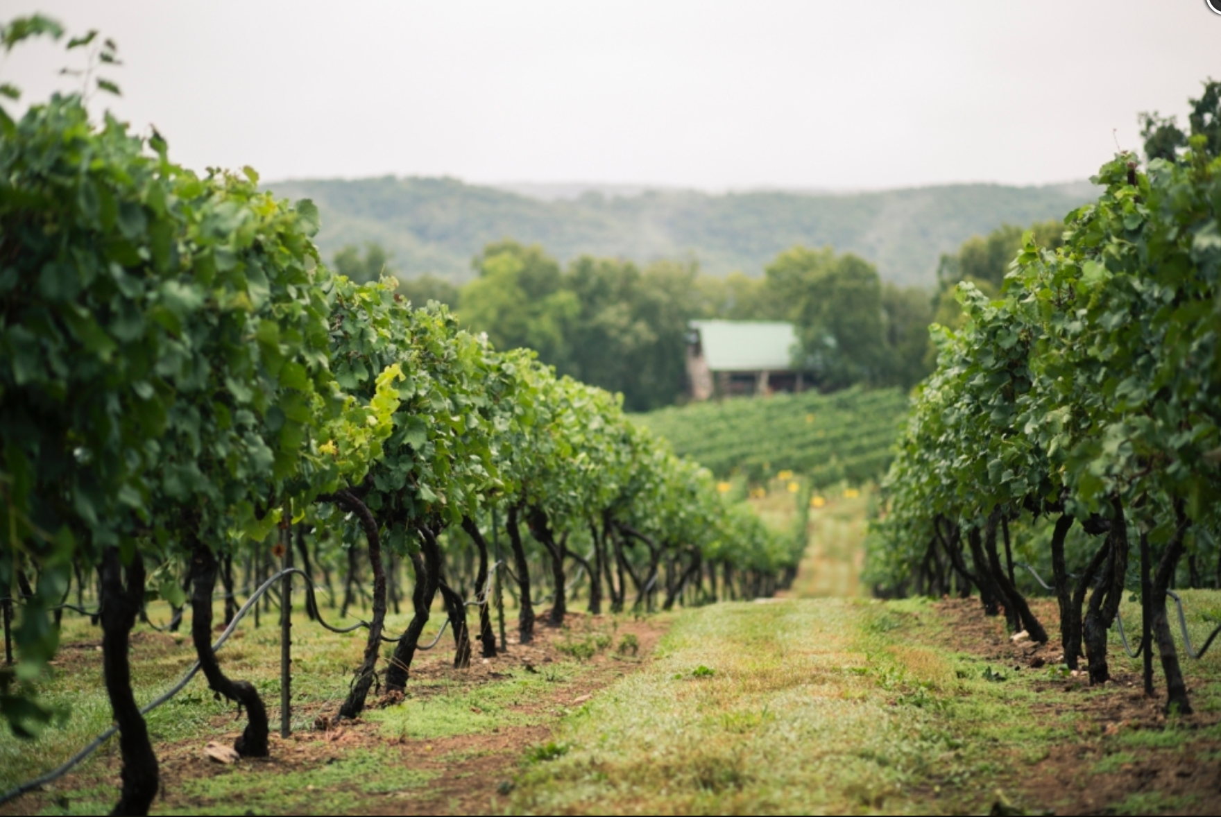 Charleville Vineyard Winery & Microbrewery Is One Of Missouri's Best
