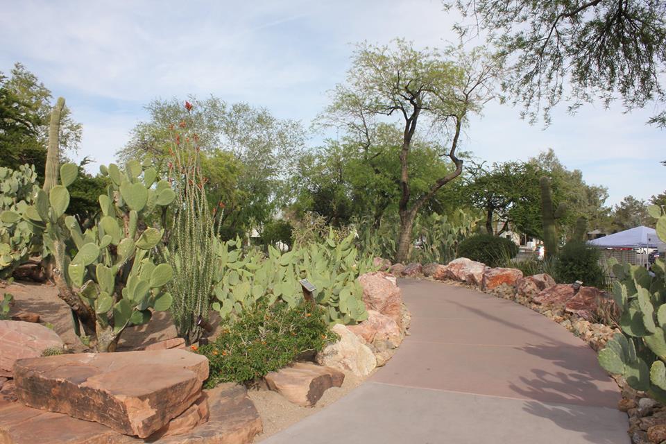 cactus city rest area