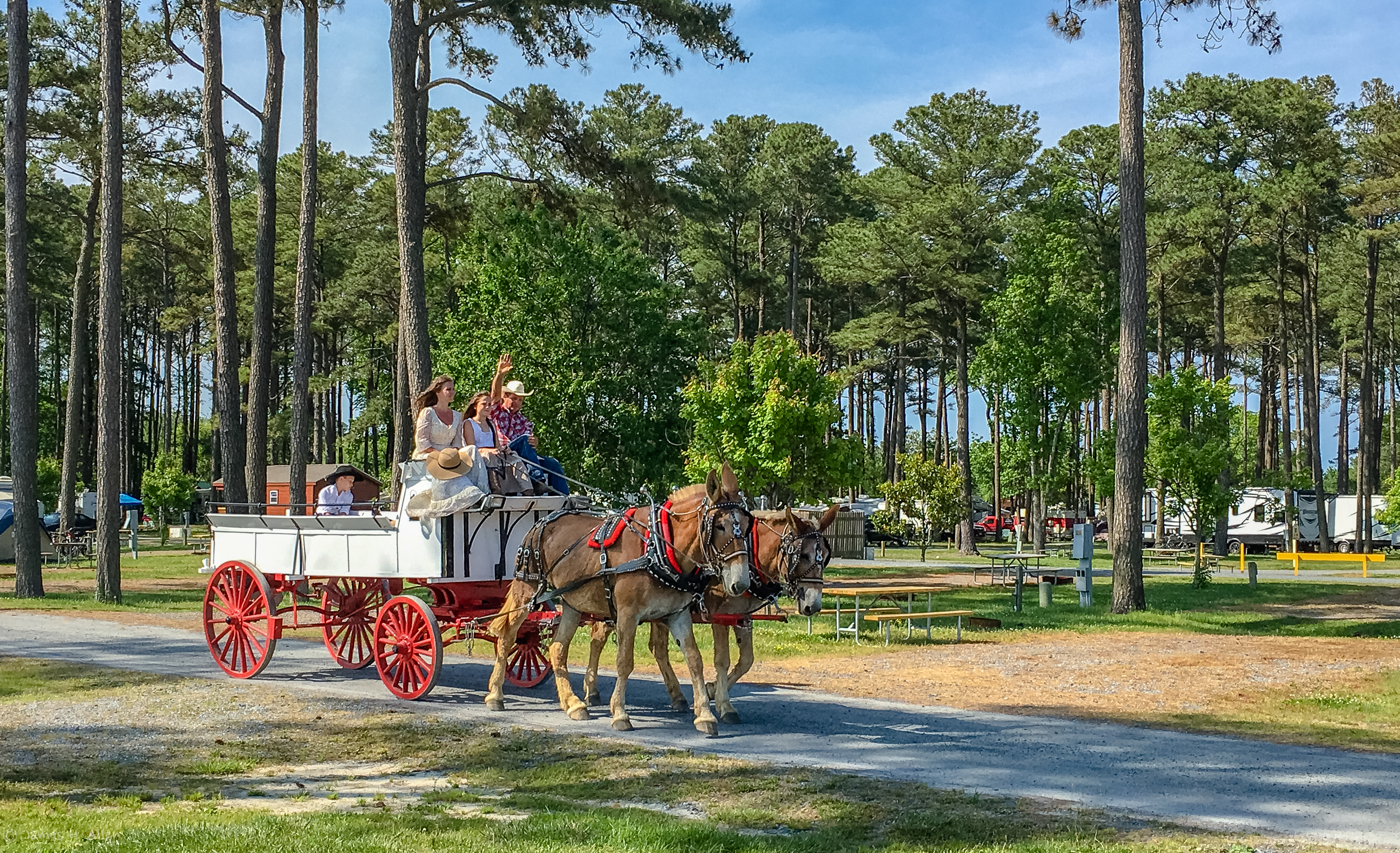 10-undeniably-fun-weekend-trips-to-take-if-you-live-in-maryland-only