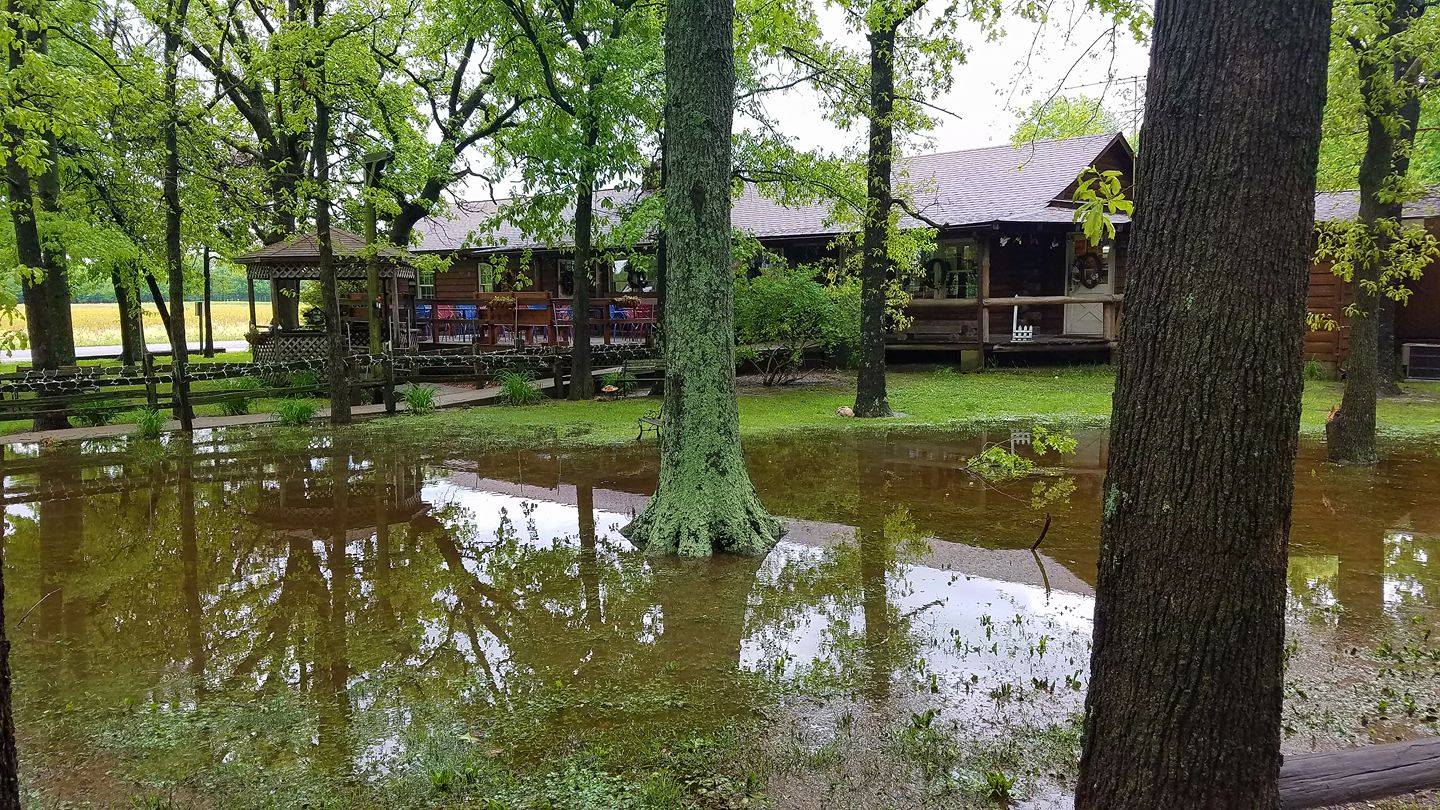 10 Best Log Cabin Restaurants In Illinois