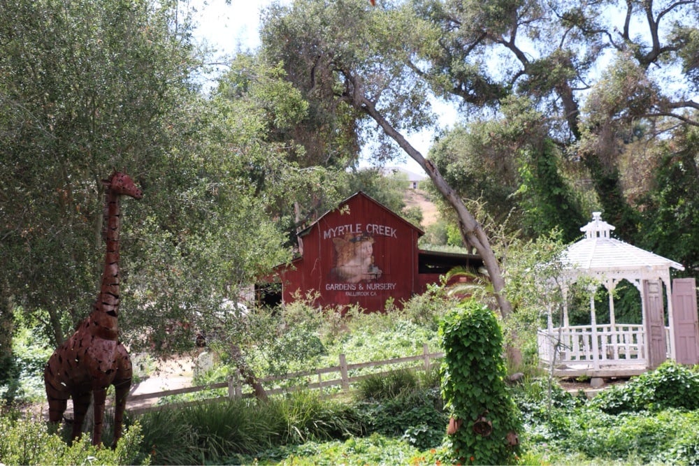 Myrtle Creek Gardens and Nursery Is The Most Beautiful Secret Garden In