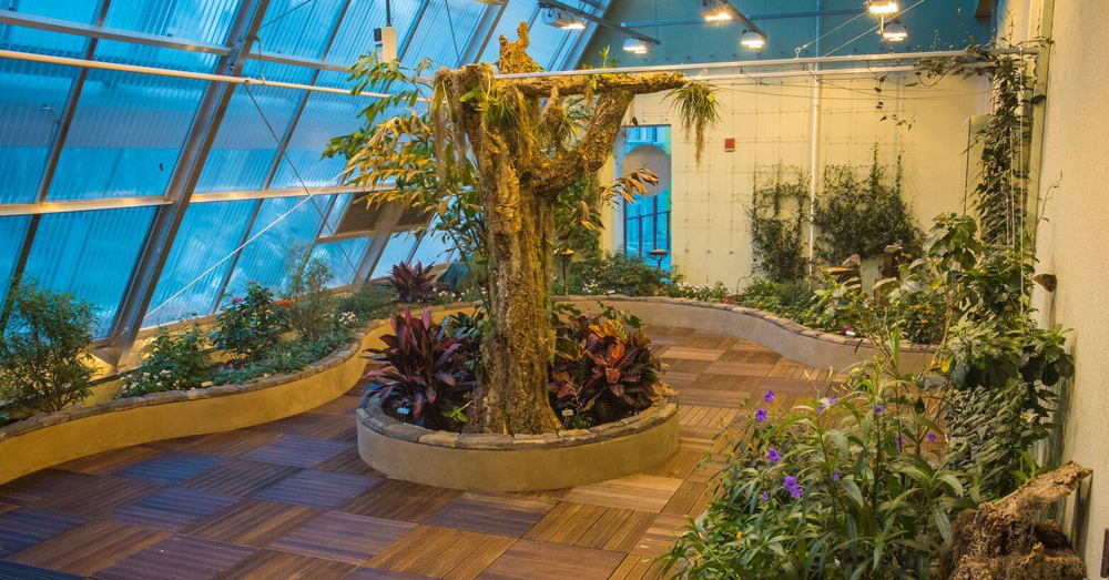 Connecticut's New Butterfly House Is Simply Magical
