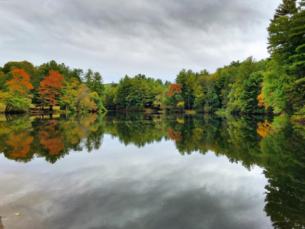 The Clearest Connecticut Pond Is Watertown's Black Rock Pond Only In Your State