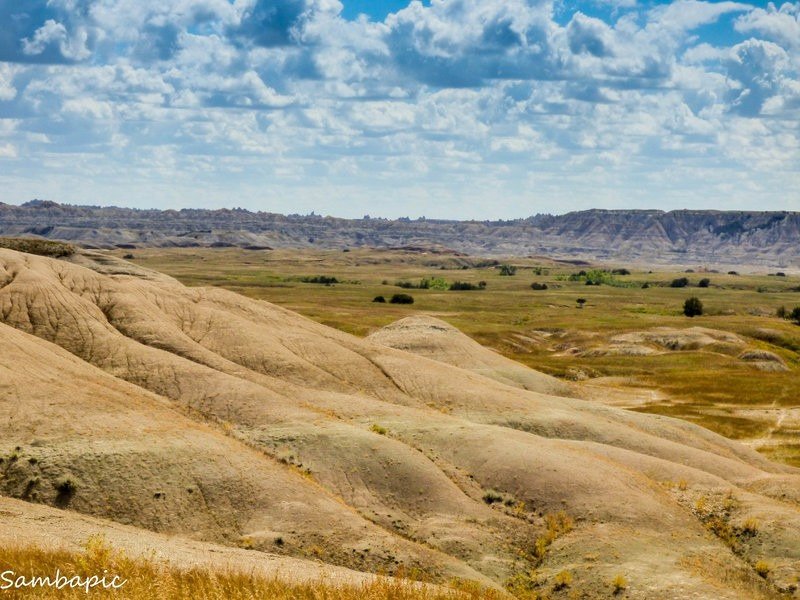 Robert's Prairie Dog Town Is Best Hidden Place To See Wildlife In South Dakota
