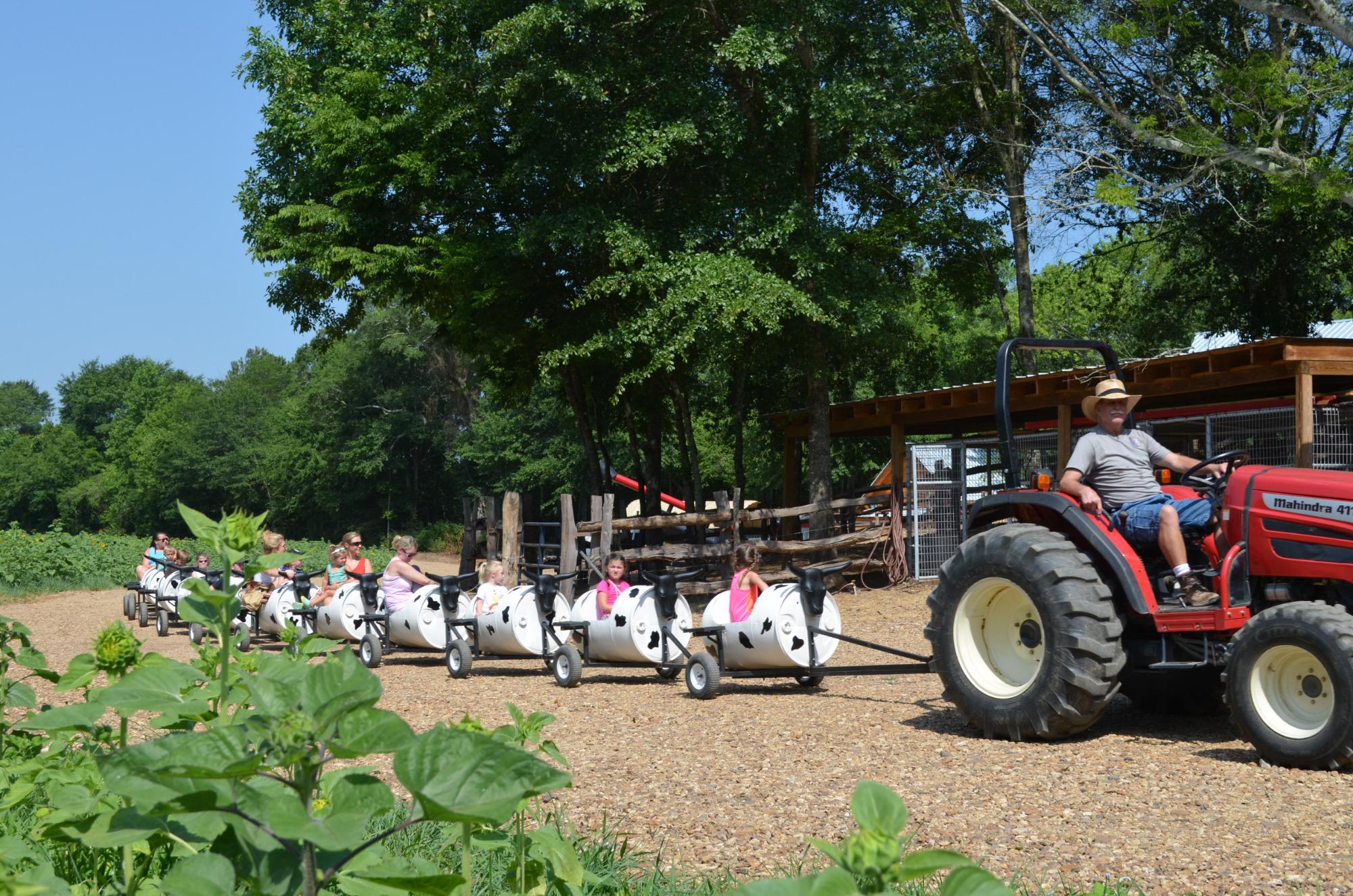 Enjoy The Cow Train Ride At Copper Creek Farm In