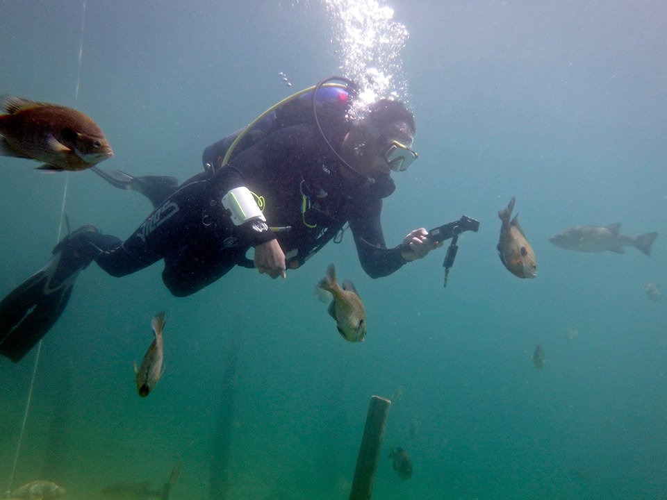 Lake Phoenix Is The Best Place To Go Scuba Diving In Virginia