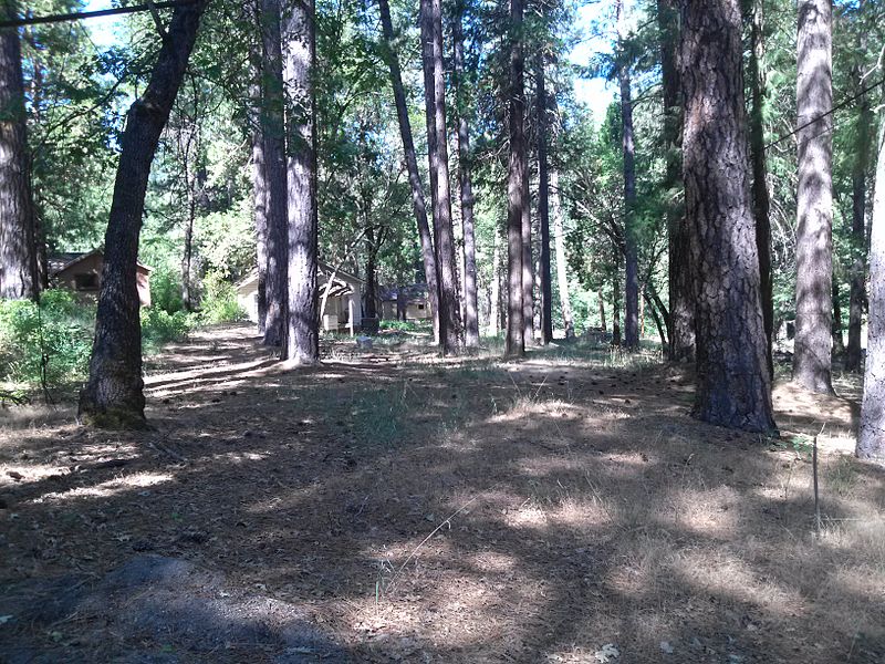 Keddie Murders In Northern California Ispired The Strangers