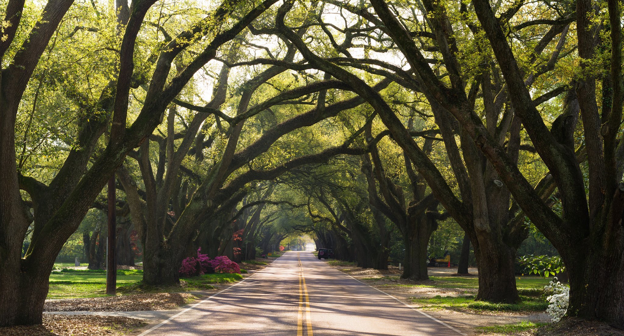 Aiken, South Carolina Makes For A Lovely Southern Day Trip