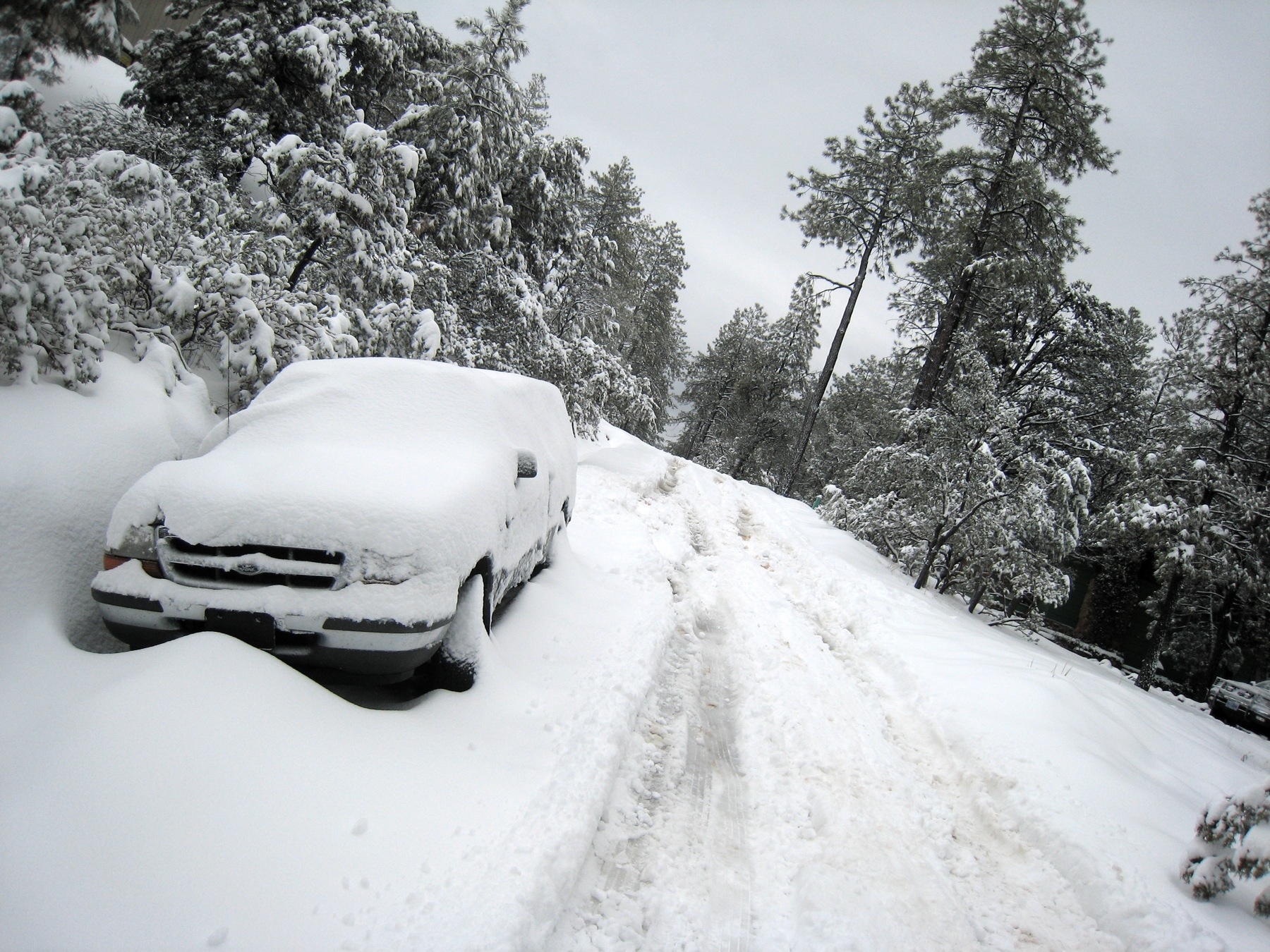Arizona Winter Storm Breaks Previous Snowfall Records