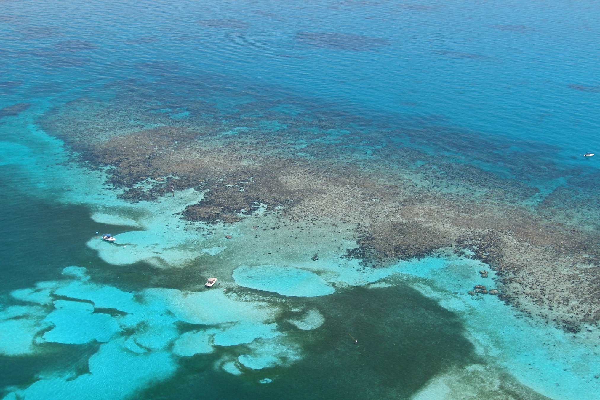 This Florida Barrier Reef Is A Rare & Spectacular Natural Wonder