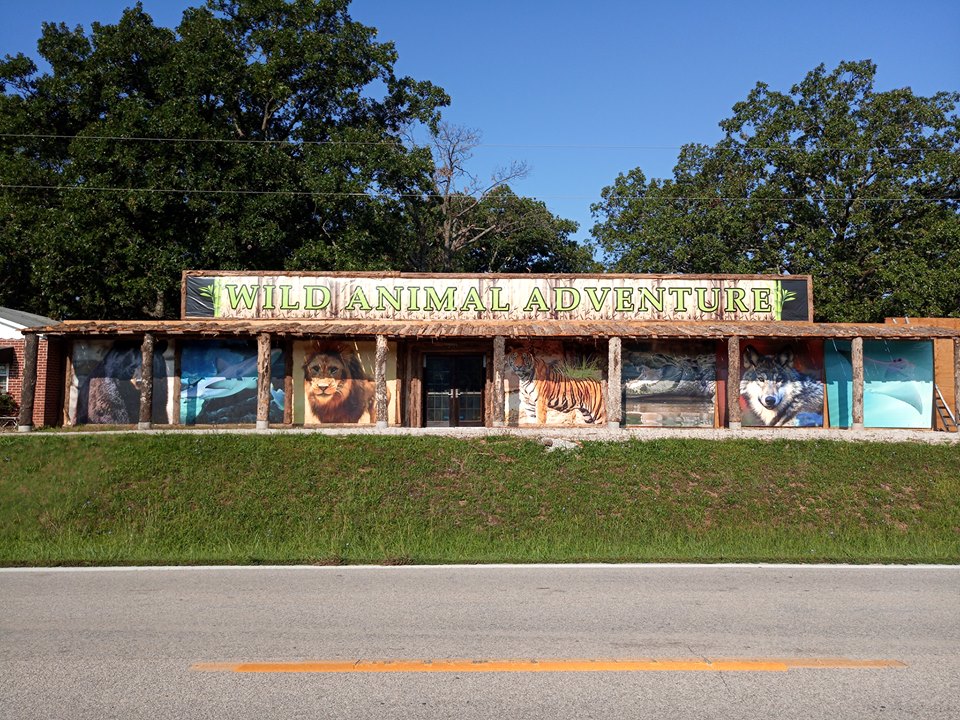Wild Animal Adventure Park Is A FamilyFriendly Wild Animal Park In