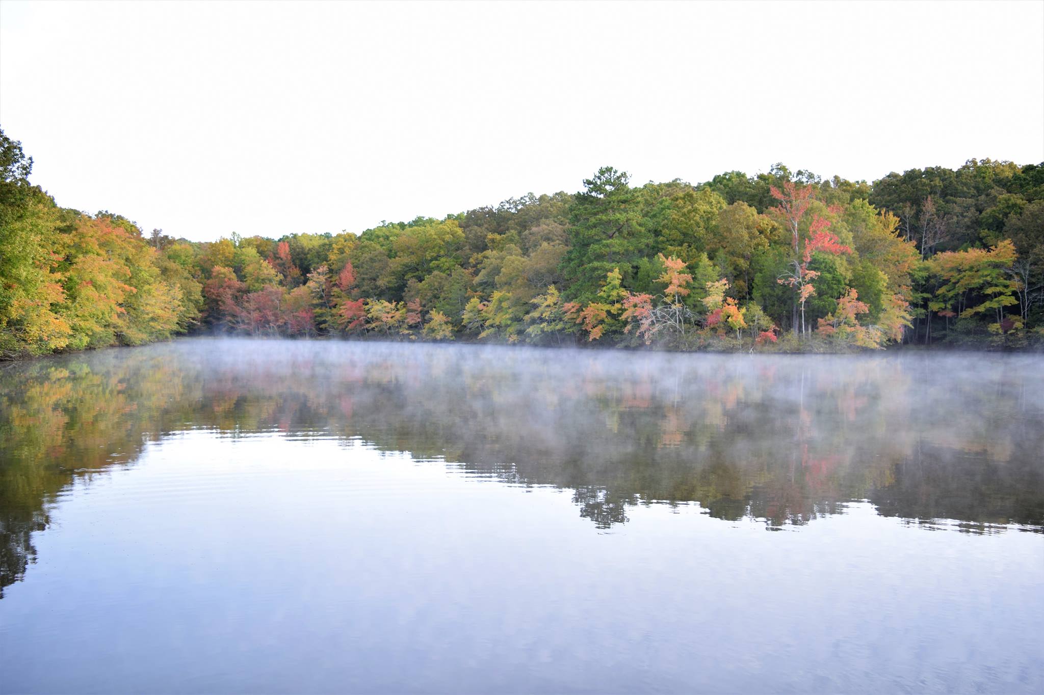 15 Waterfront Parks In Tennessee That Are Perfect For A Summer Day