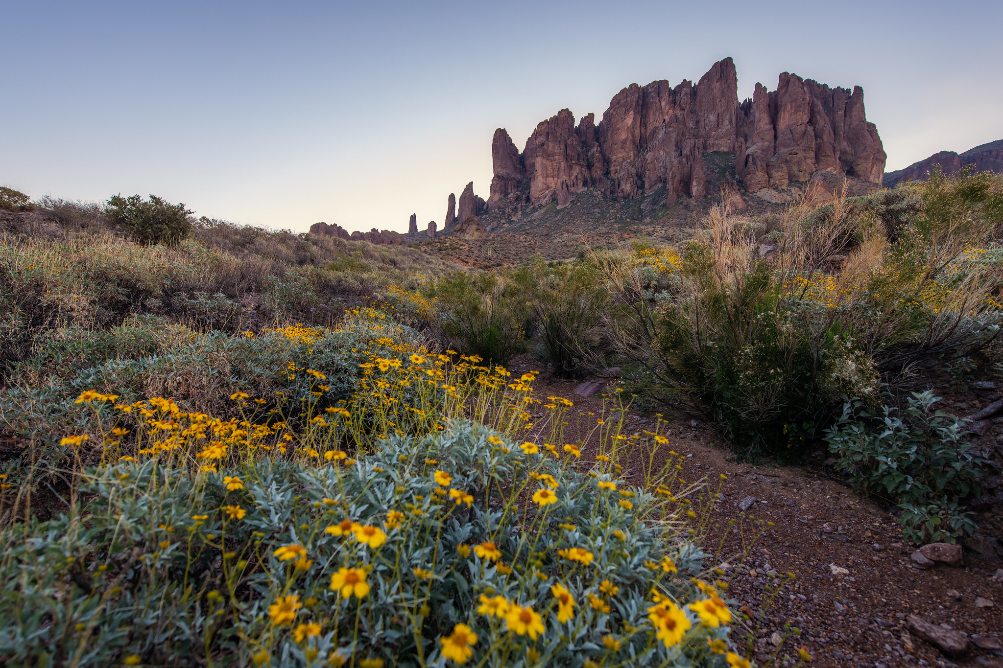 Sonoran Desert Is Most Underrated Desert In America