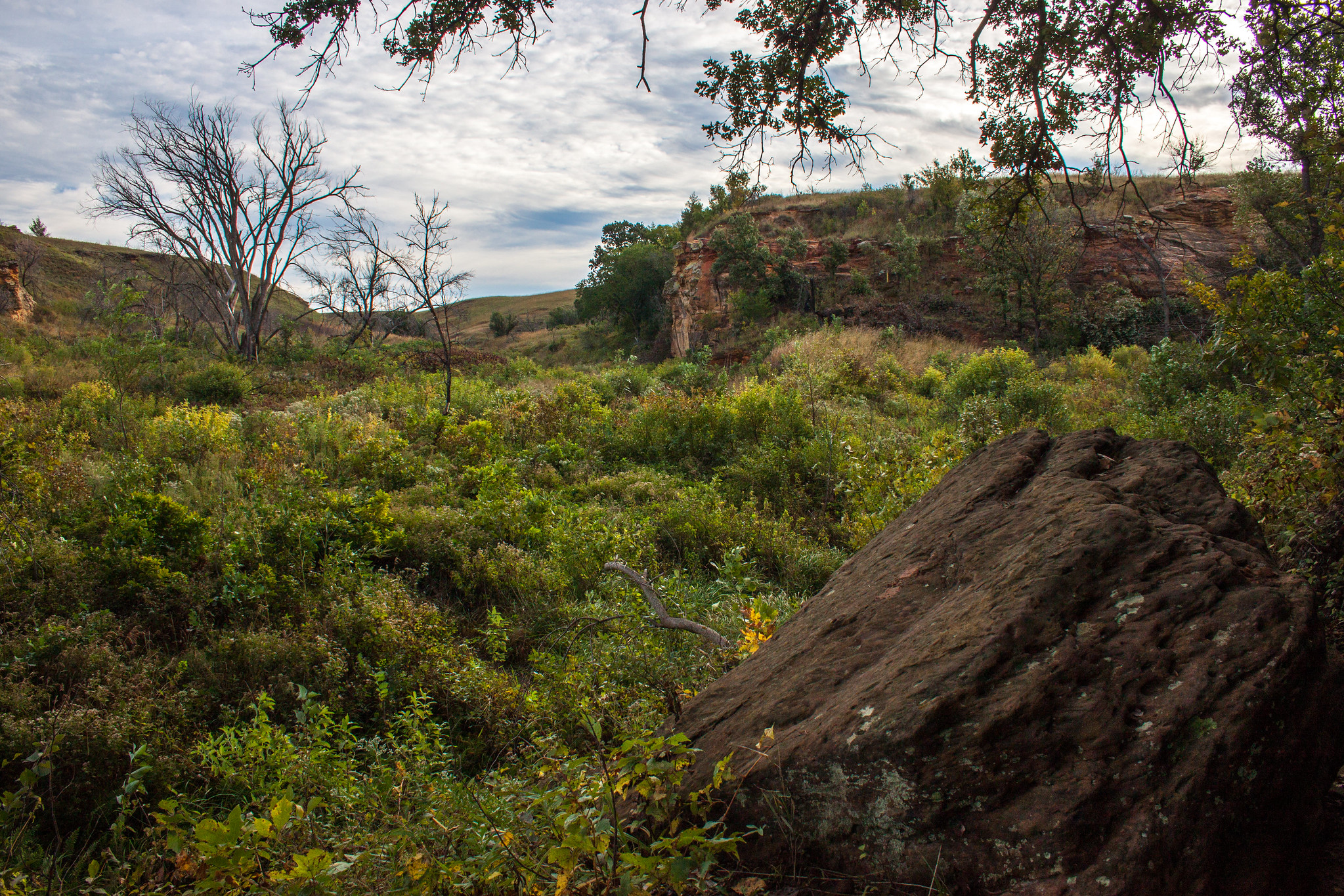 Kanopolis Lake State Park An Amazing Park In Kansas With Everything