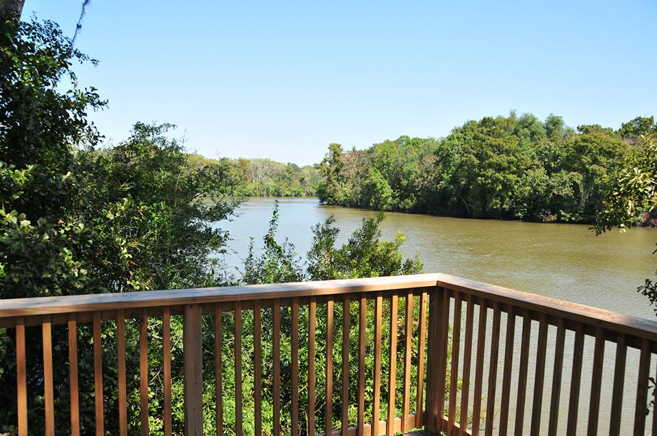 Explore Nearly 1 300 Acres Of Natural Beauty At Palmetto Island