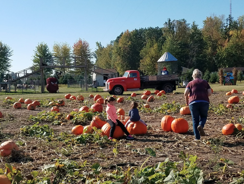 Johnson�s Giant Pumpkin Farm In Michigan Is Perfect For Fall