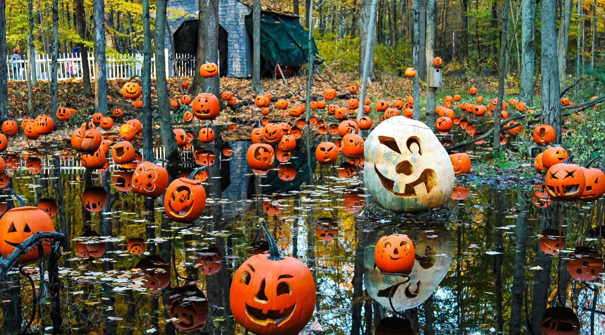 The Halloween Fair and Trail at Carlisle Reservation in LaGrange, Ohio