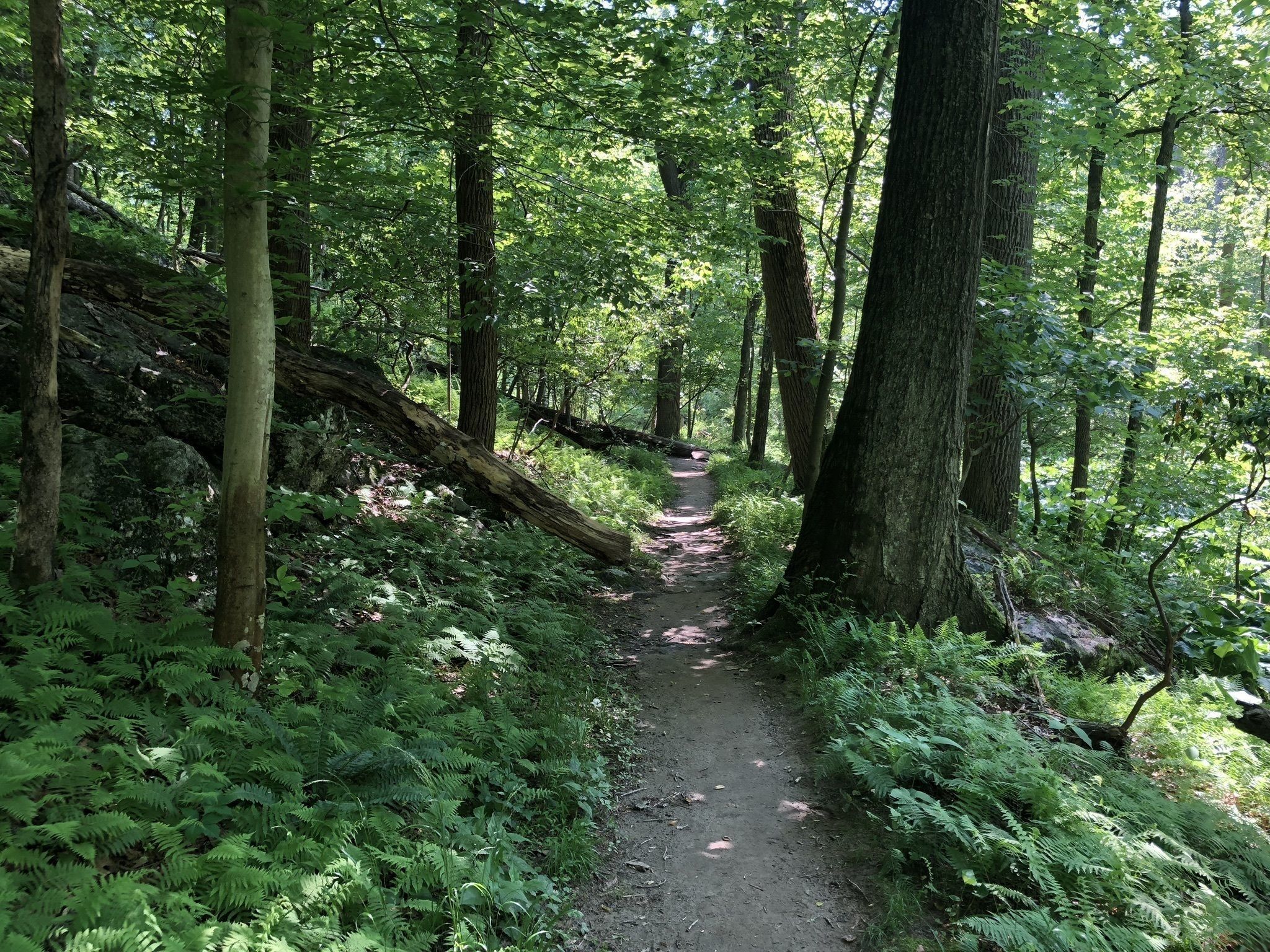 Liberty Dam Hike In Maryland Offers Great Dam Views