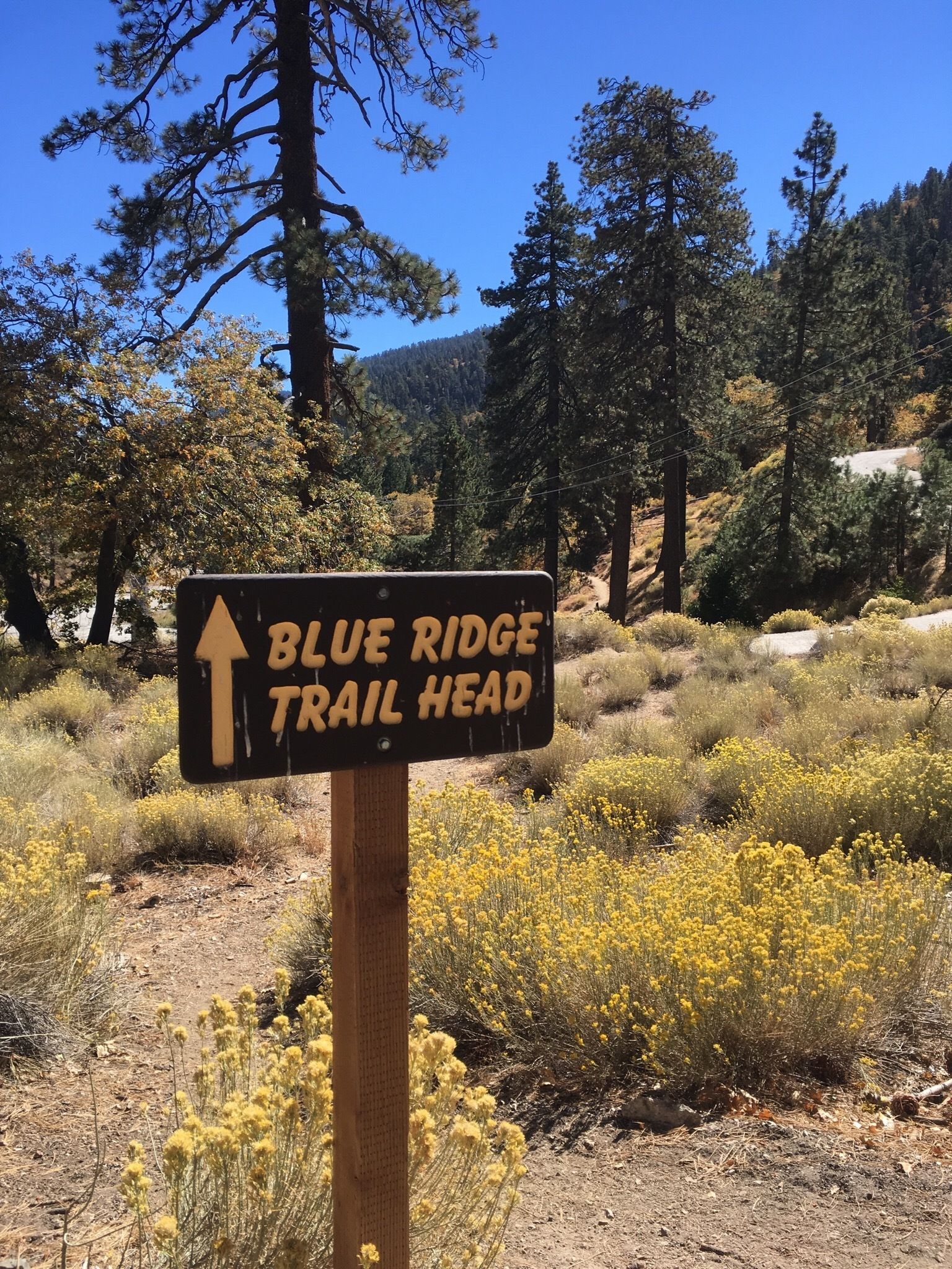 The Blue Ridge Trail In Southern California In Angeles National Forest