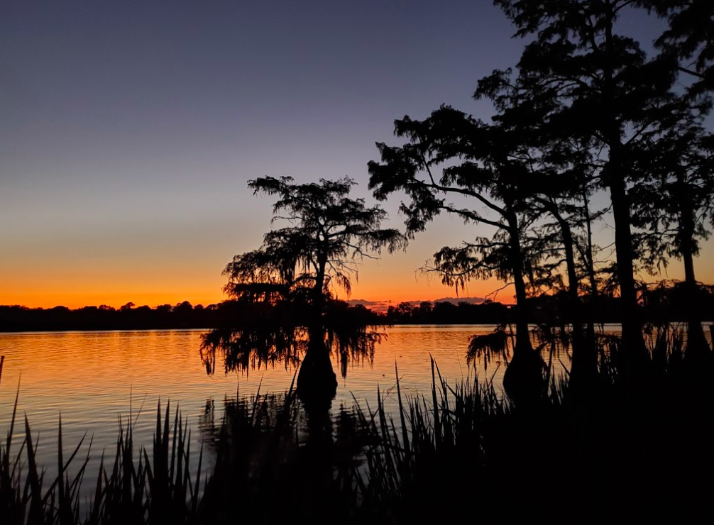 Lake Bruin State Park Is The Most Peaceful State Park In Louisiana