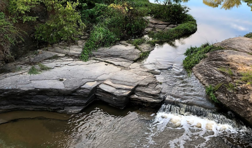 Sunnymede Walking Trail In Arkansas Is Easy And Family-Friendly