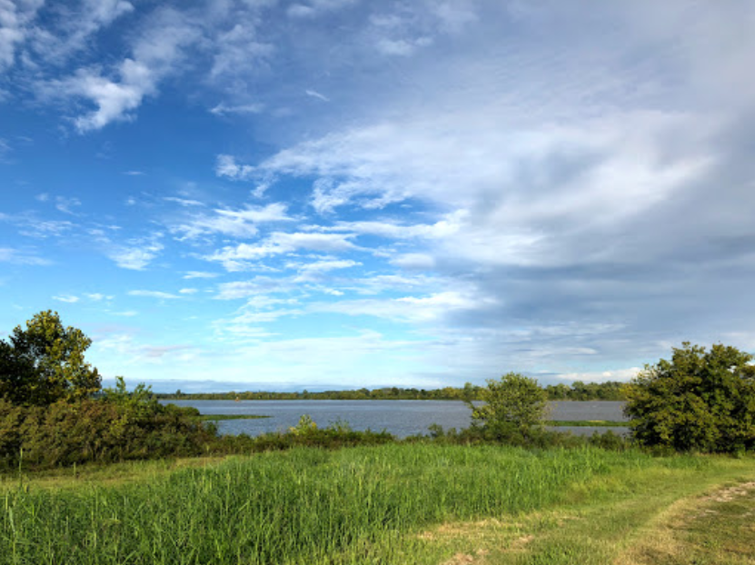 Sunnymede Walking Trail In Arkansas Is Easy And Family-Friendly