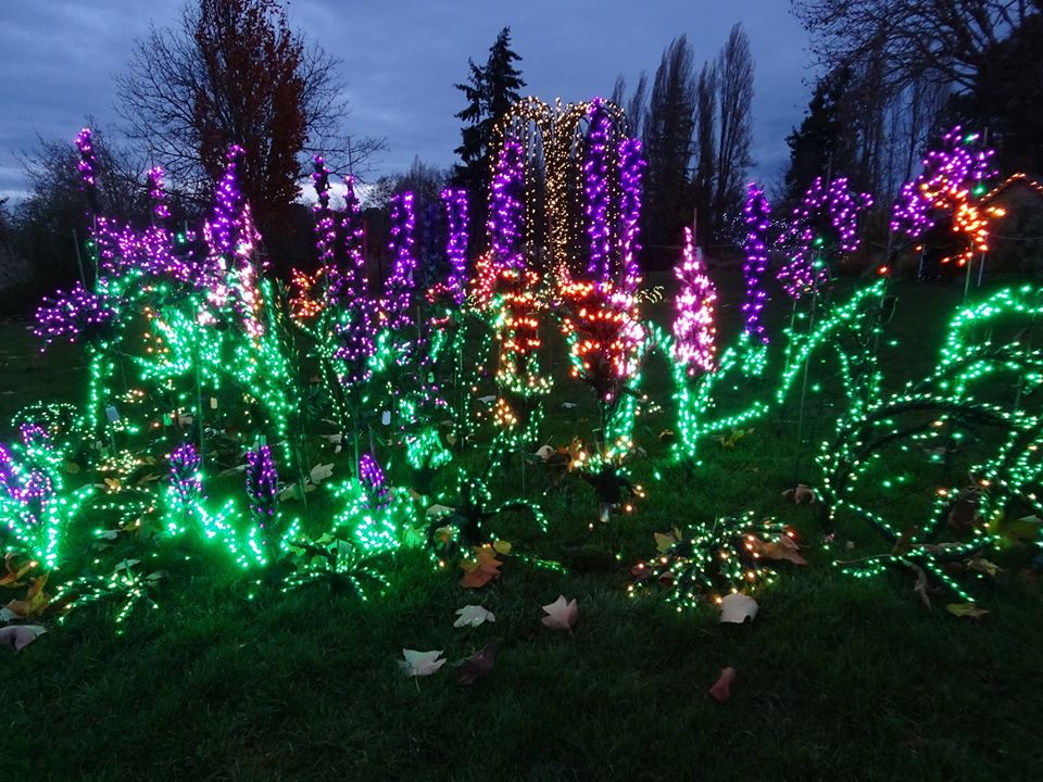 The Displays At Garden D'Lights In Washington Are Pure Holiday Magic