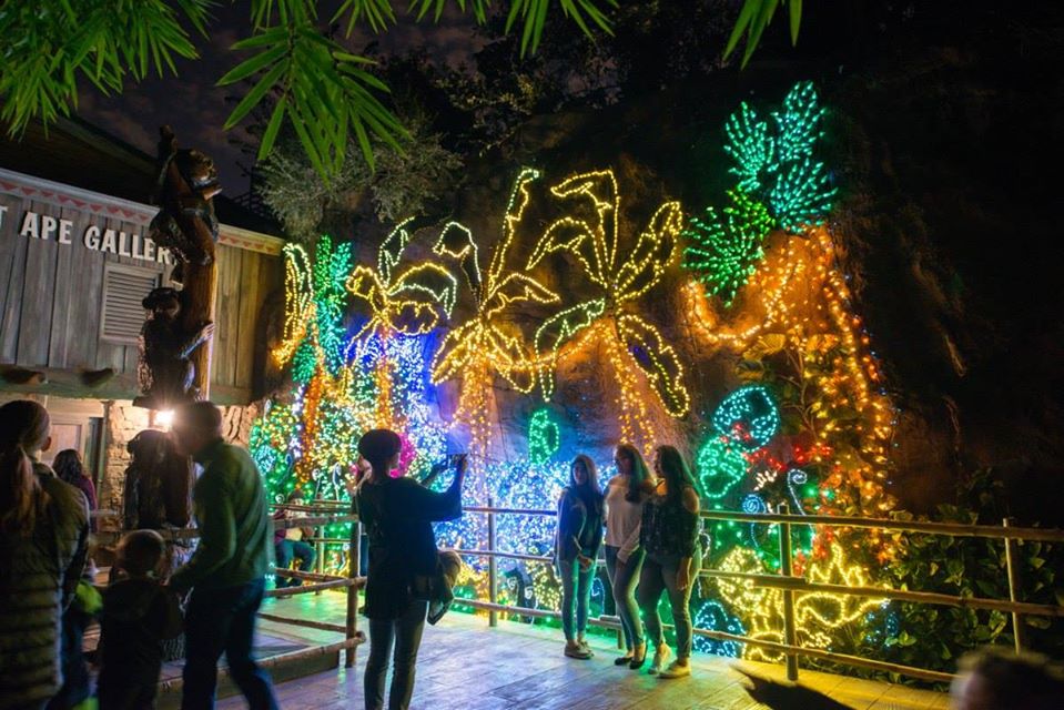 AdultsOnly Night At Houston Zoo Lights In Texas This Winter