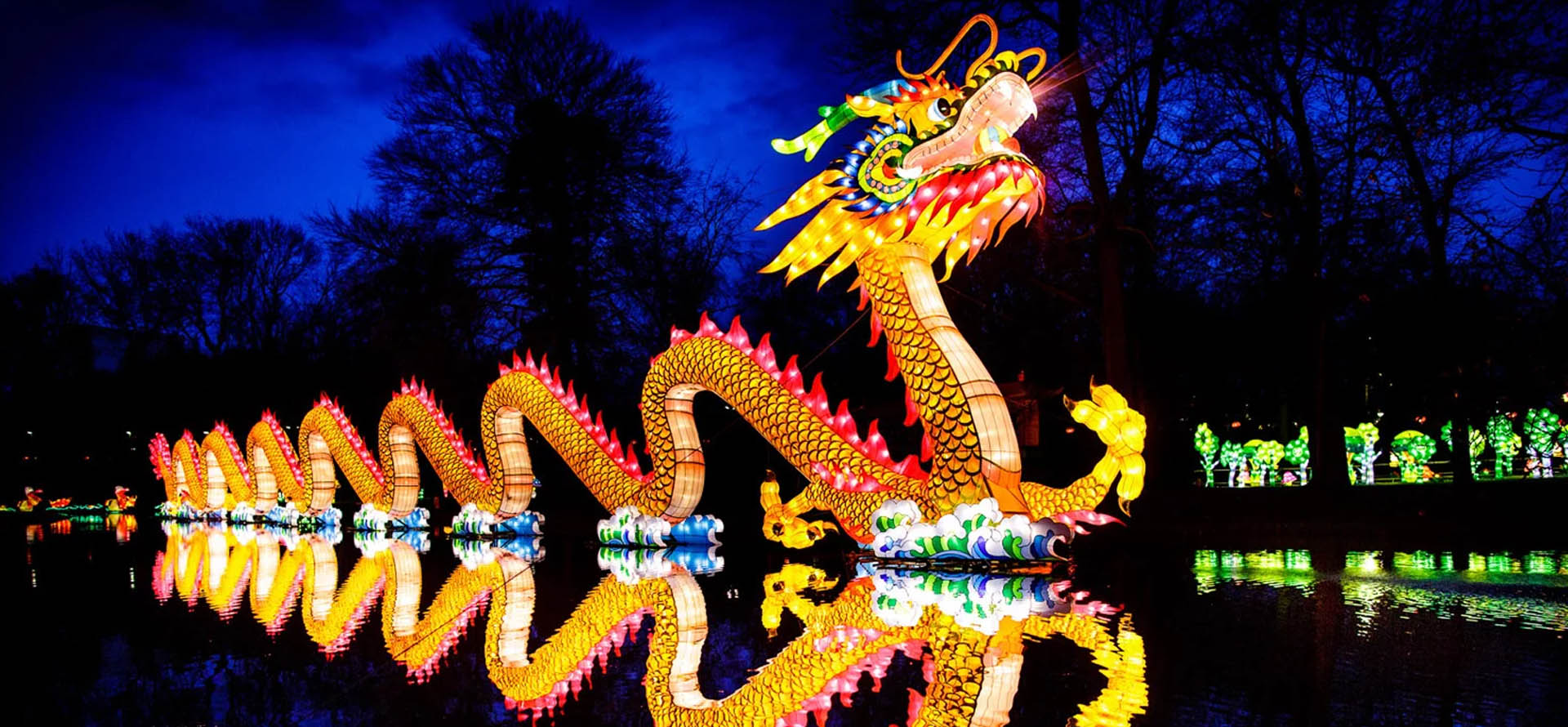 the louisville zoo will host wild lights an asian lantern asian lights columbus ohio