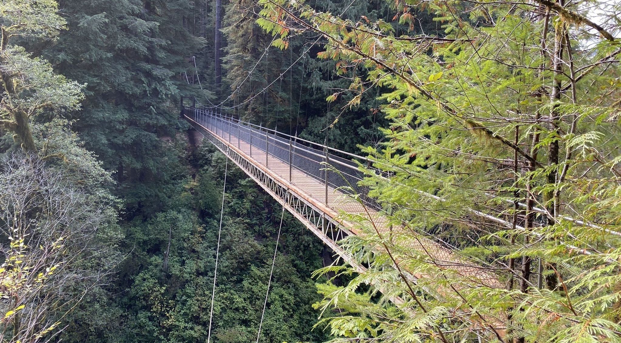 The Drift Creek Falls Trail In Oregon Has A 240Foot Suspension Bridge
