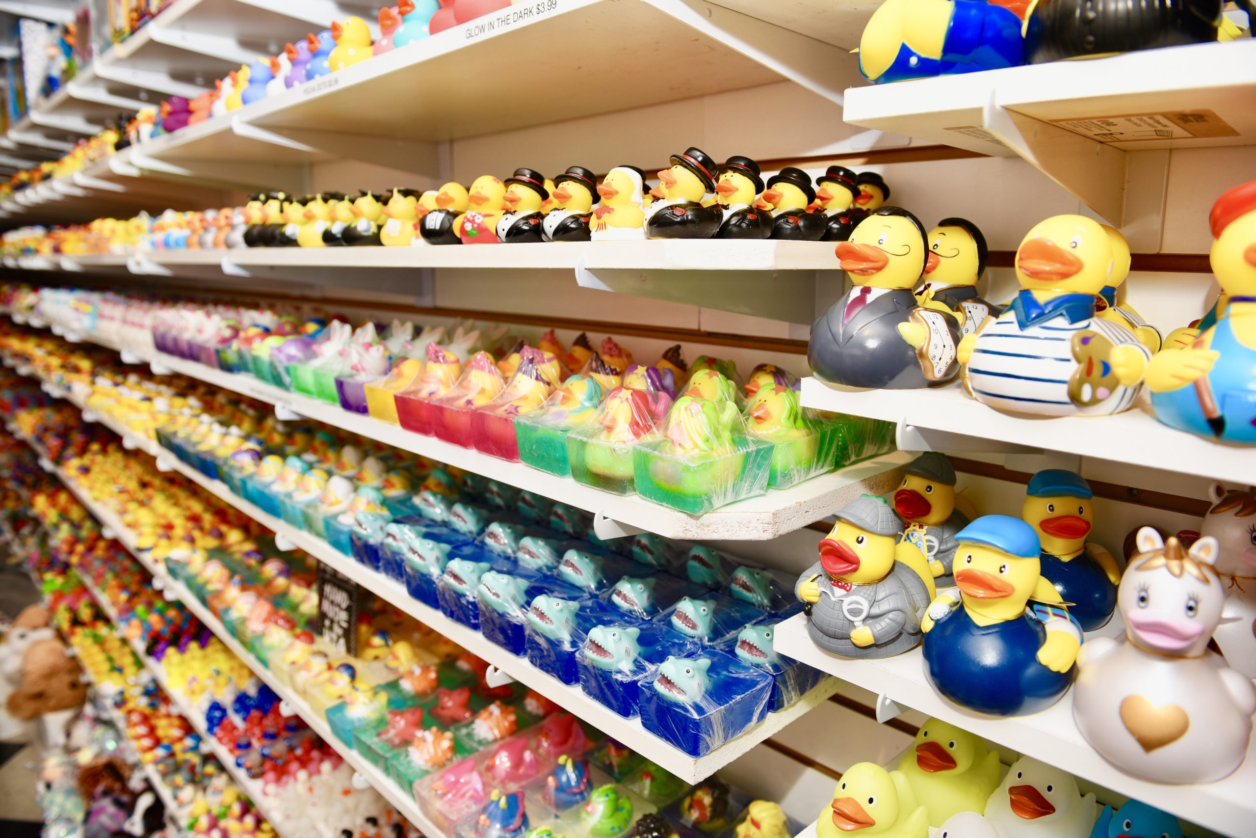the rubber duck shop