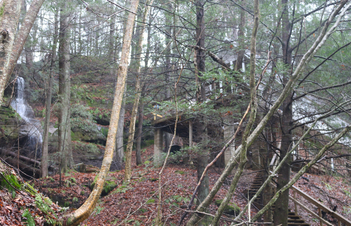 Stay At A Charming Ohio Cottage In A Private With A Waterfall