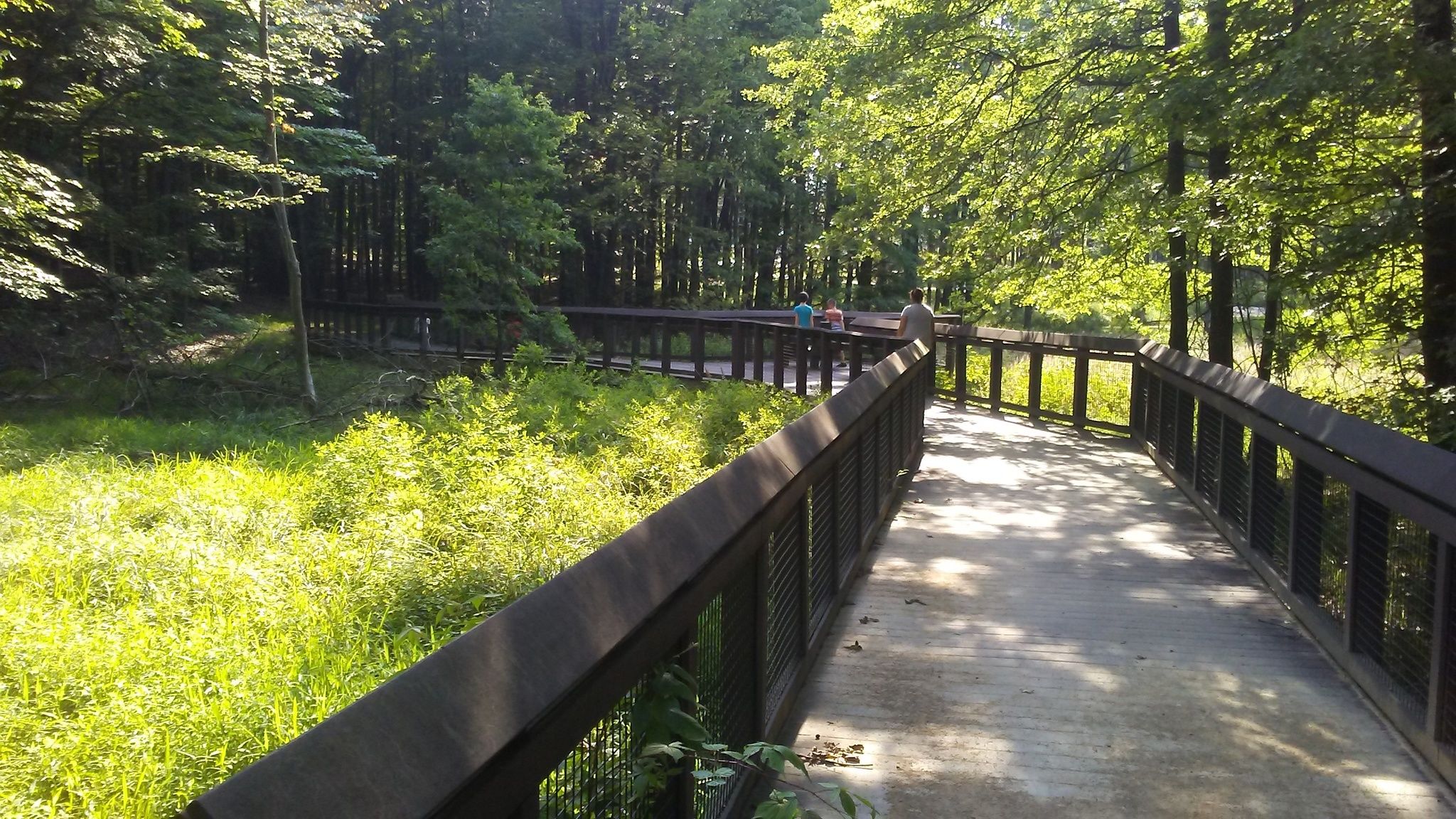 8 Of The Shortest Hiking Trails In The Cleveland Metroparks