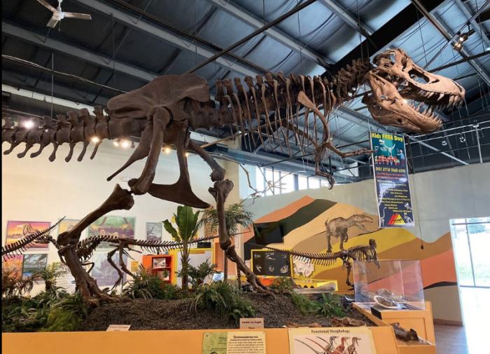 The Dinosaur Resource Center In Colorado Is Considered To Be One Of The