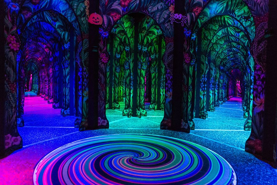 RainforestThemed Laser + Mirror Maze At Odysea In Arizona