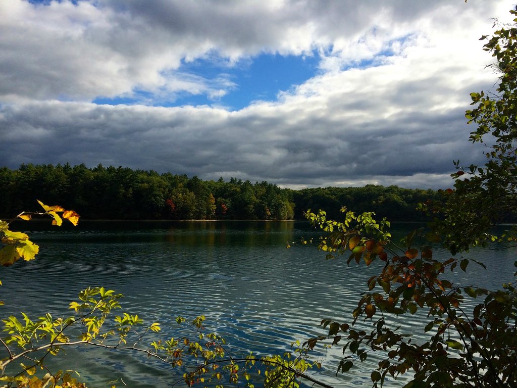 Walden Pond Is The Deepest Natural Pond In Massachusetts