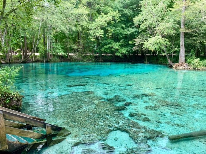 The Water Is A Brilliant Blue At Ginnie Springs, A Refreshing Roadside