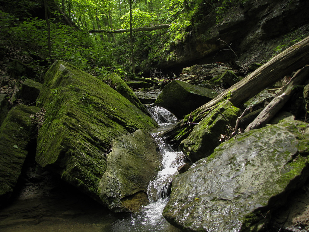 Shades State Park In Waveland, Indiana Is The Best Place To Go Hiking