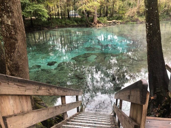 The Water Is A Brilliant Blue At Ginnie Springs, A Refreshing Roadside
