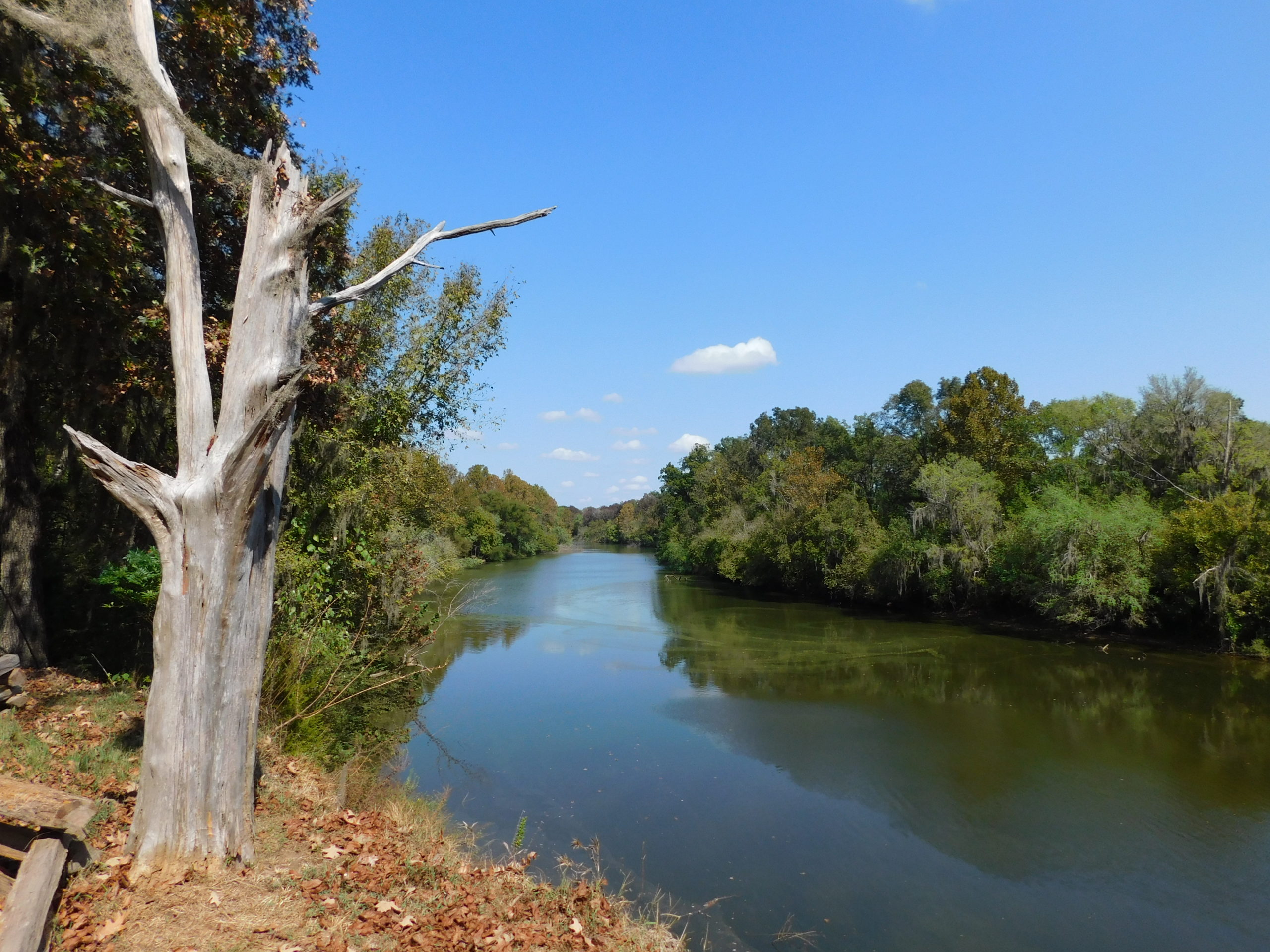 Cahaba River Best Alabama River For A Lazy Summer Day