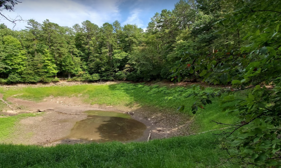 Trout Pond, West Virginia's Only Natural Lake, Is Slowly Disappearing