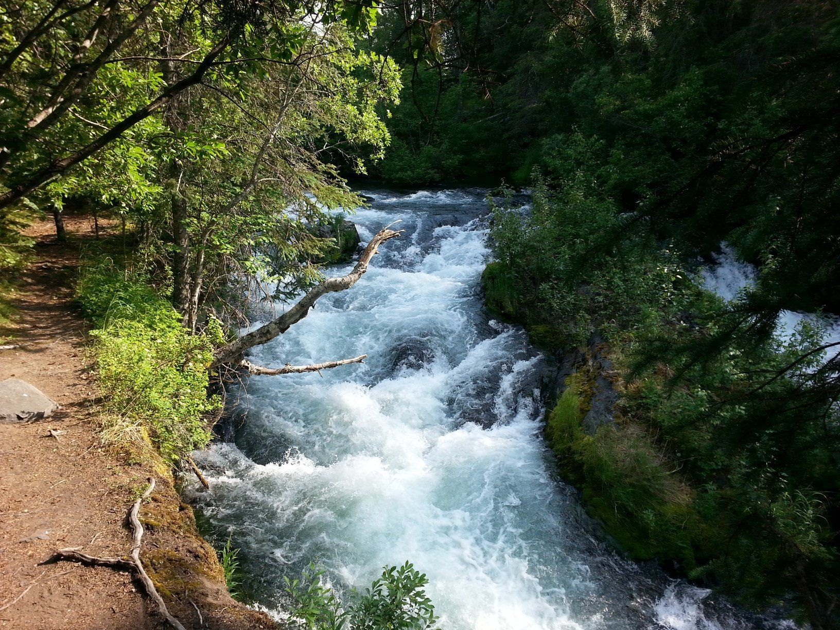Russian River Falls Trail Will Take You To See The Salmon Spawn