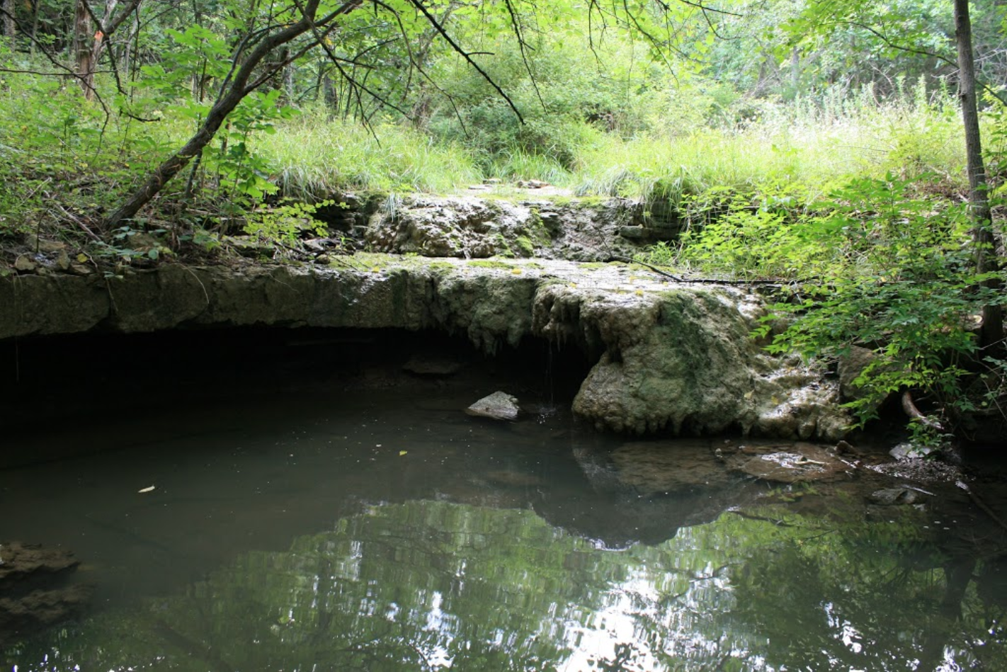 Camp Branch Glade Is A Magic Little Park In Kansas Only In Your State