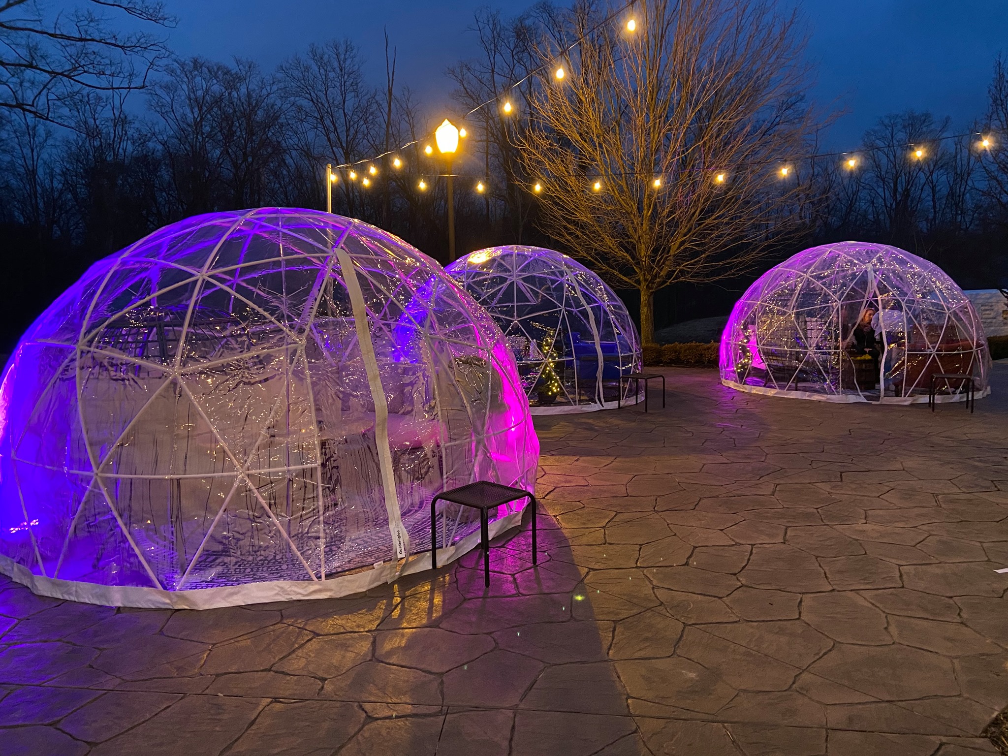 Private Igloo Dining With A Firepit in Ohio The Blue Heron